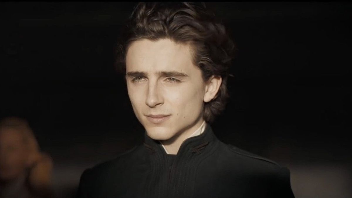 Timothée Chalamets Hair on X: Your timeline deserves this