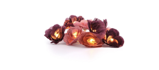 Primark fairy lights roses