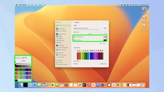 Mac pointer custom options in Settings 