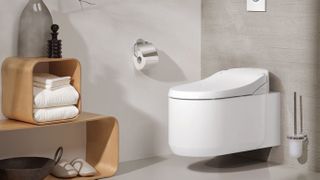 contemporary wall hung toilet