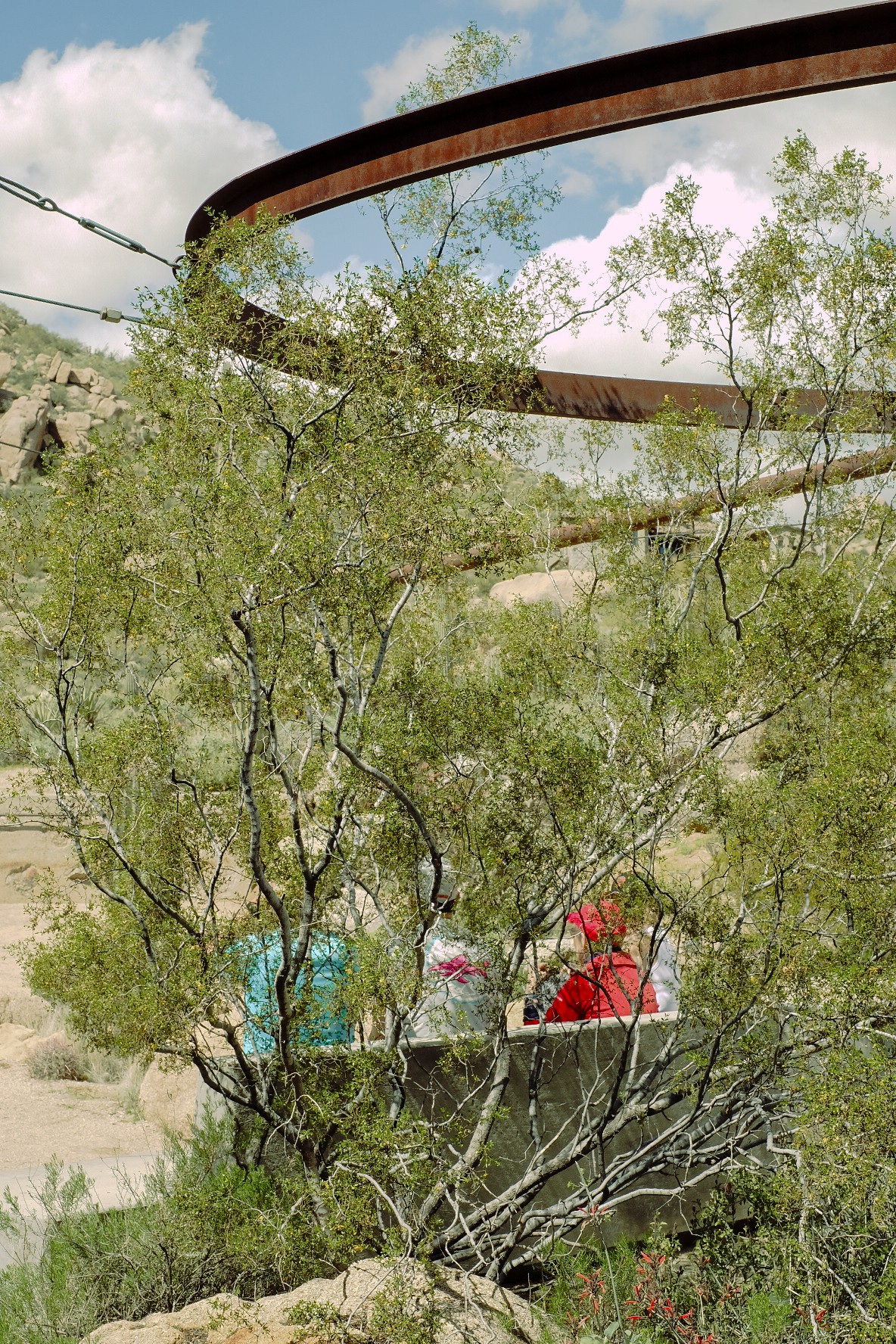 Scenes from an Arizona desert filled with rocky clusters, sculptural cacti, and occasional passersby.