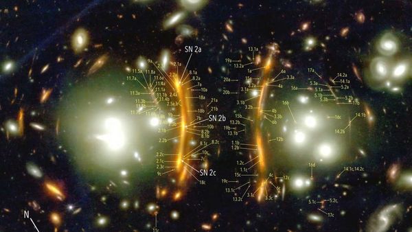 A JWST image of two large bright galaxies ringed in orange light from a distant supernova