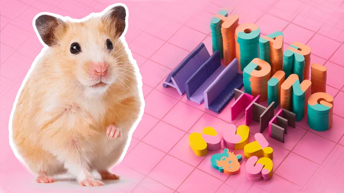 A photo of a hamster stood in front of a colourful pastel background with the words &quot;hoarding all the nuts&quot; in a quirky font