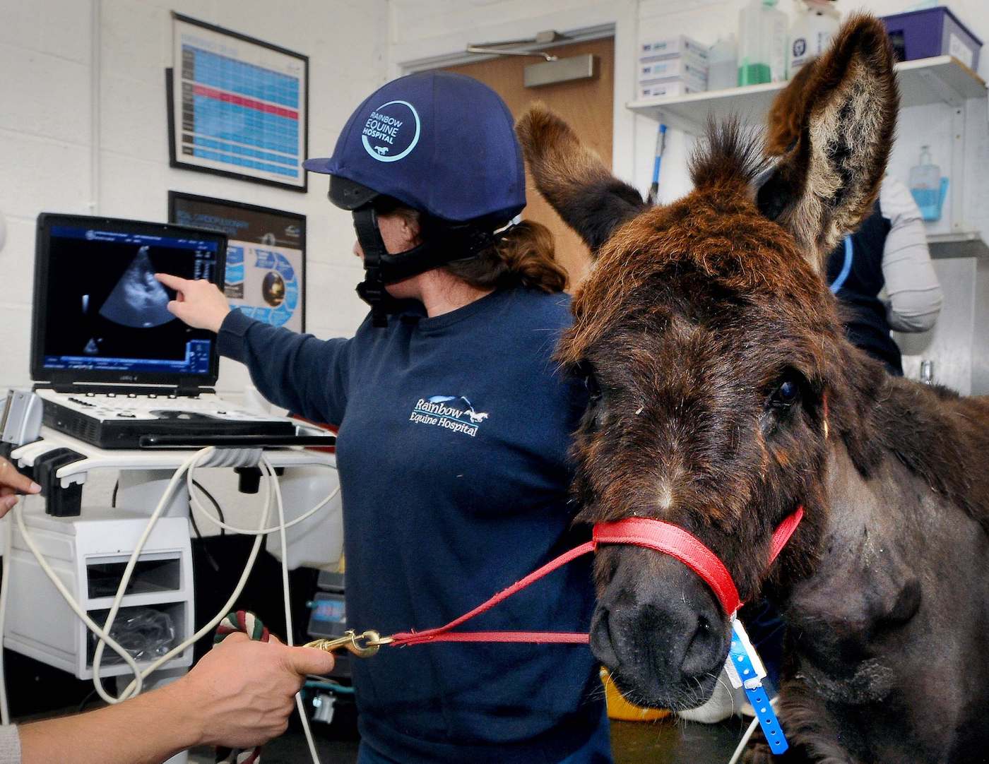 Gemma performs an ultrasound scan to make sure the pacemaker is working correctly