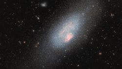 A glowing swirl of lights surrounds denser areas of pink color with stars surrounding the galaxy in a deep space image. 