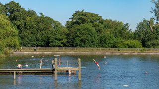 Hampstead Heath men's pond, London, UK