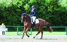Dressage-e1527161688712.jpg