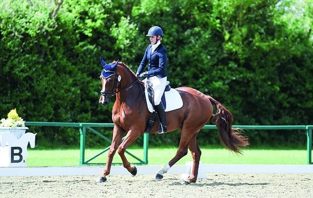 Dressage-e1527161688712.jpg