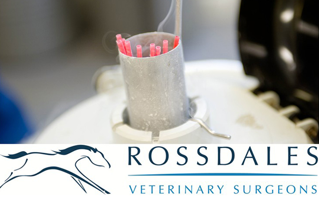 Rossdales
