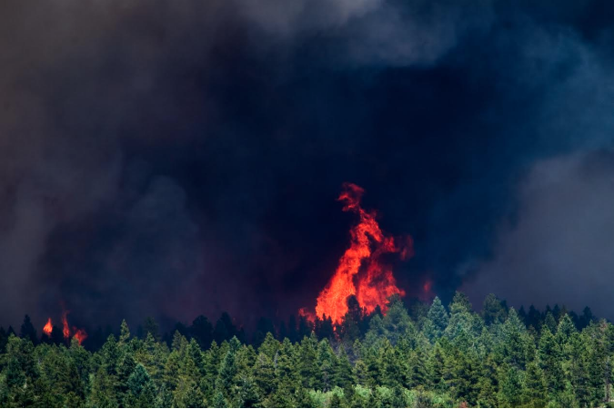 Cold Springs Fire in Colorado