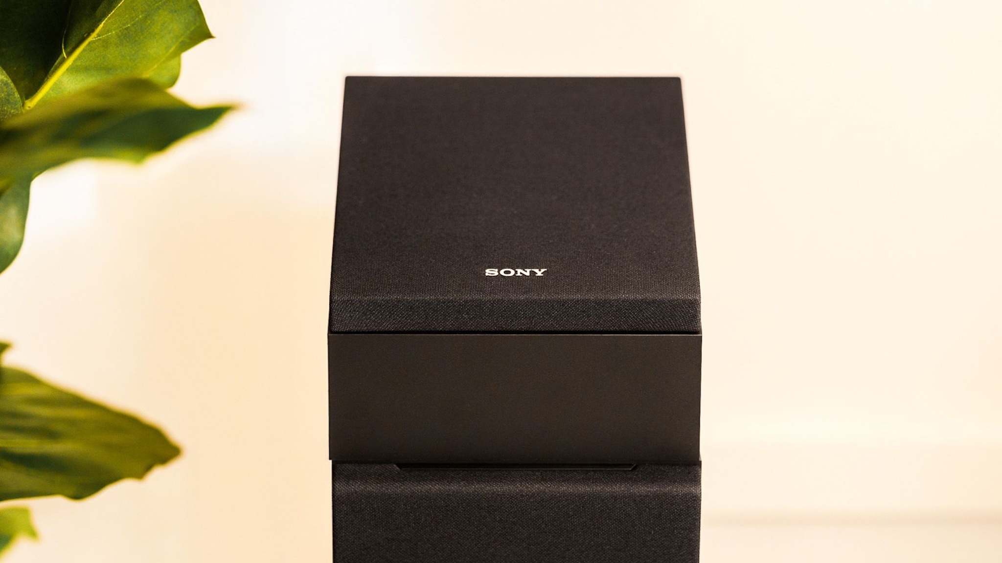 A Sony SS-EM2 Dolby Atmos speaker sitting atop a SS-CS5M2 bookshelf speaker. There is part of what looks like a pot plant to the left of the speakers.