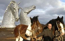 The Clydesdale is among the UK horse breeds.
