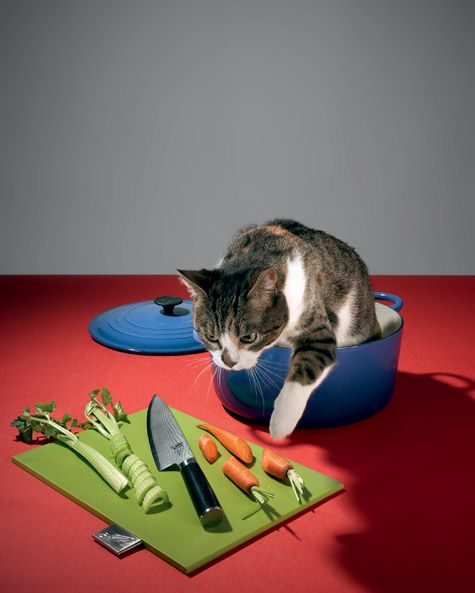 Maurizio Cattelan’s Venetian-style cat casserole