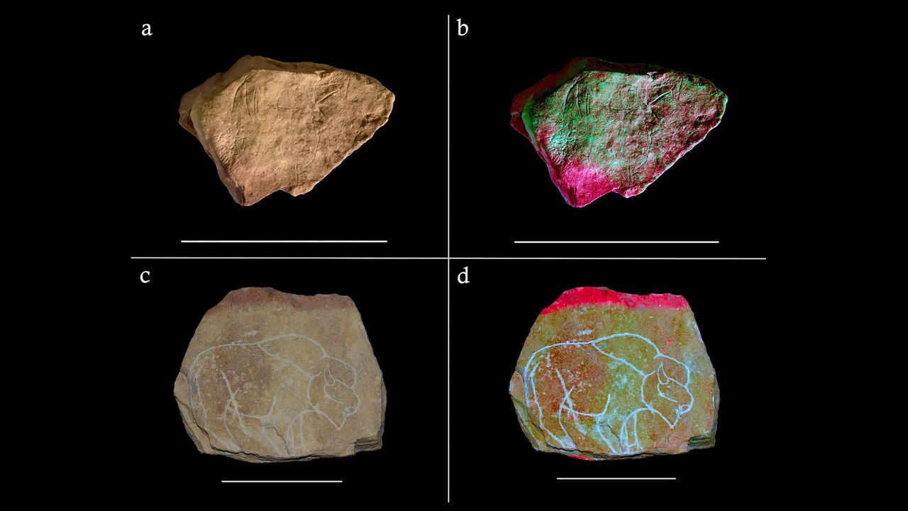The researchers made replicas of 50 limestone plaquettes excavated from the Montastruc rock shelter in the 19th century that are thought to have been created between 12,000 and 16,000 years ago.