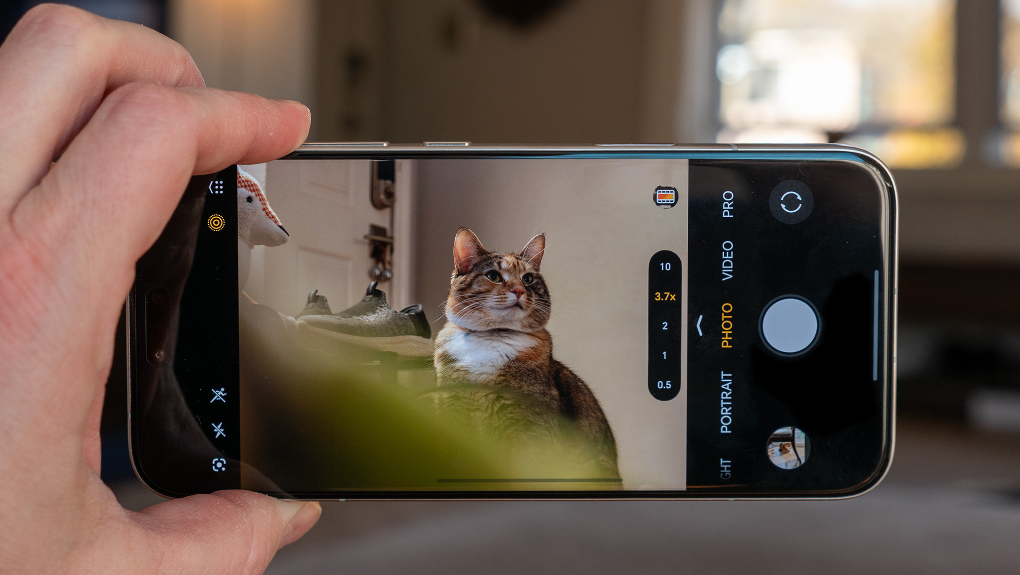 Taking a photo of a cat using the Honor Magic 8 Pro