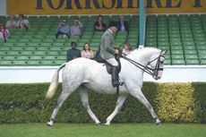 1-Bowland-Lucky-Slipper.jpg