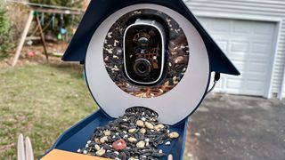 BirdKiss bird feeder outside in yard