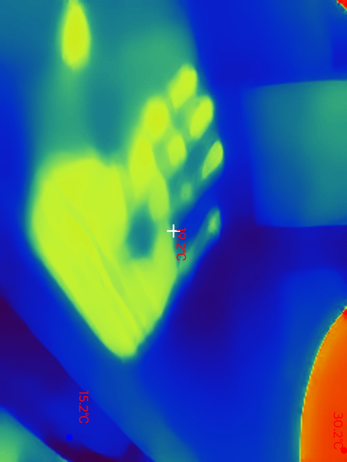Thermal Master P1 Example captures
