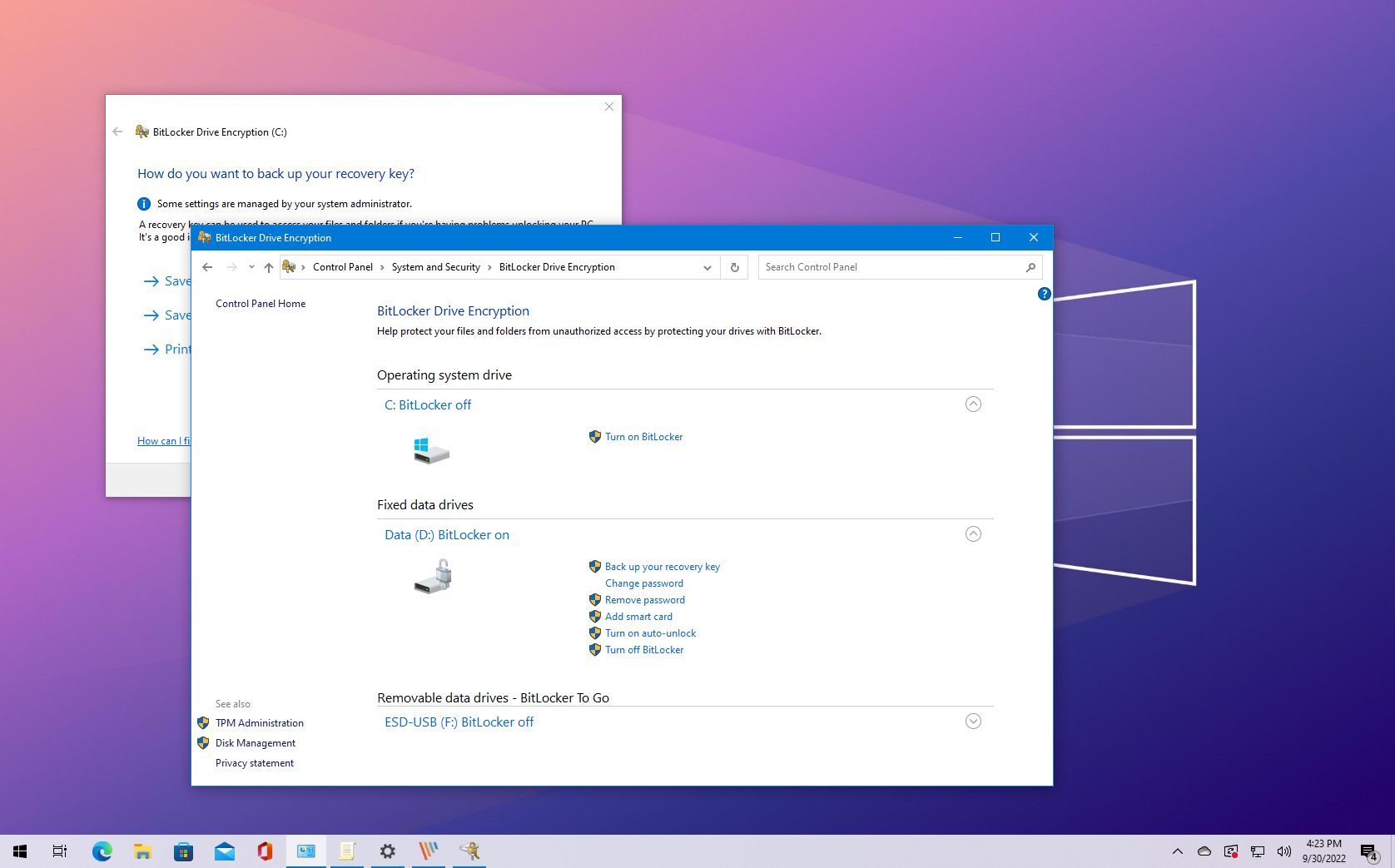 Secure Your Data: Enable Bitlocker in Windows 10 Home