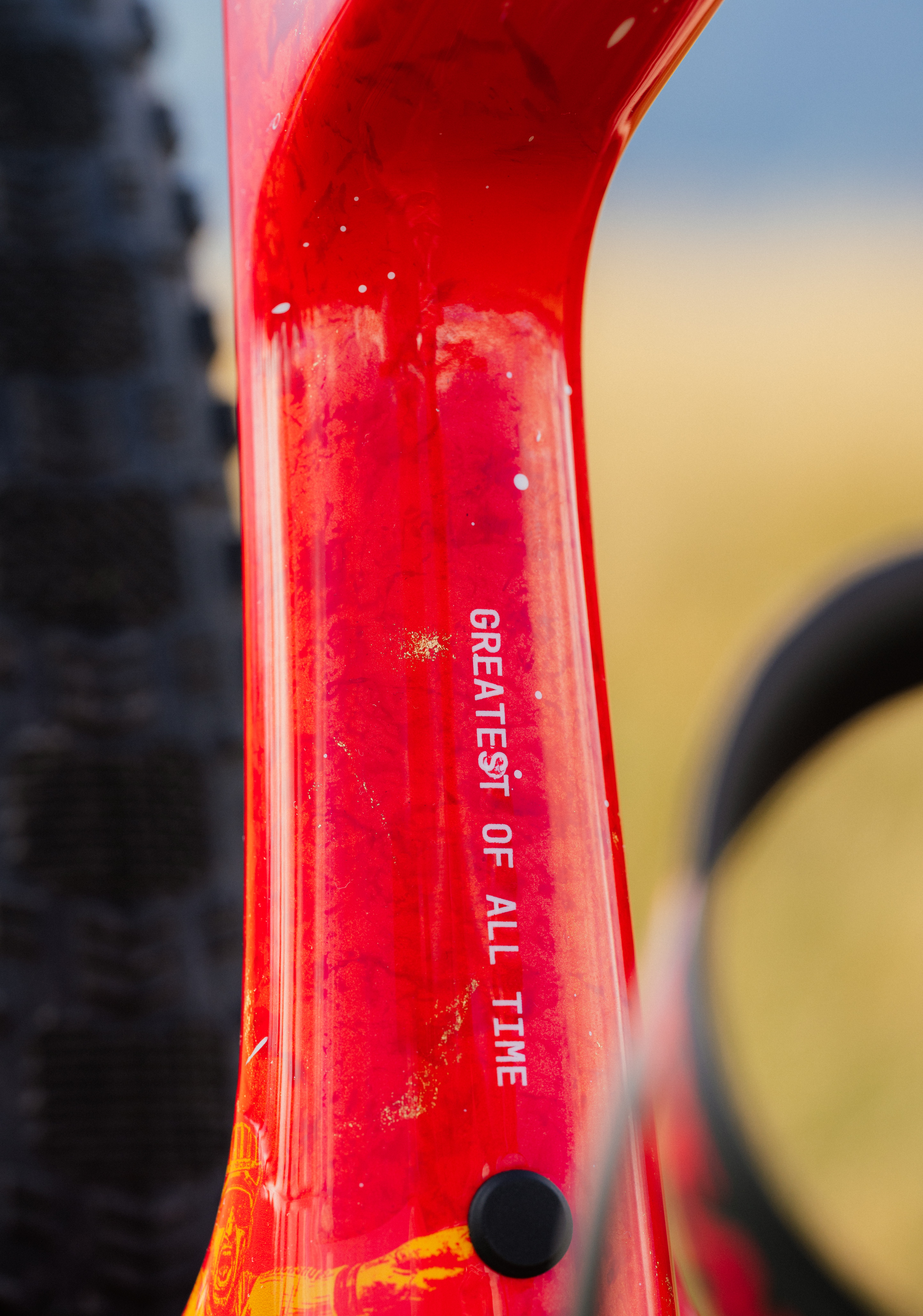 A Nino Shurter custom Scott Spark mtb