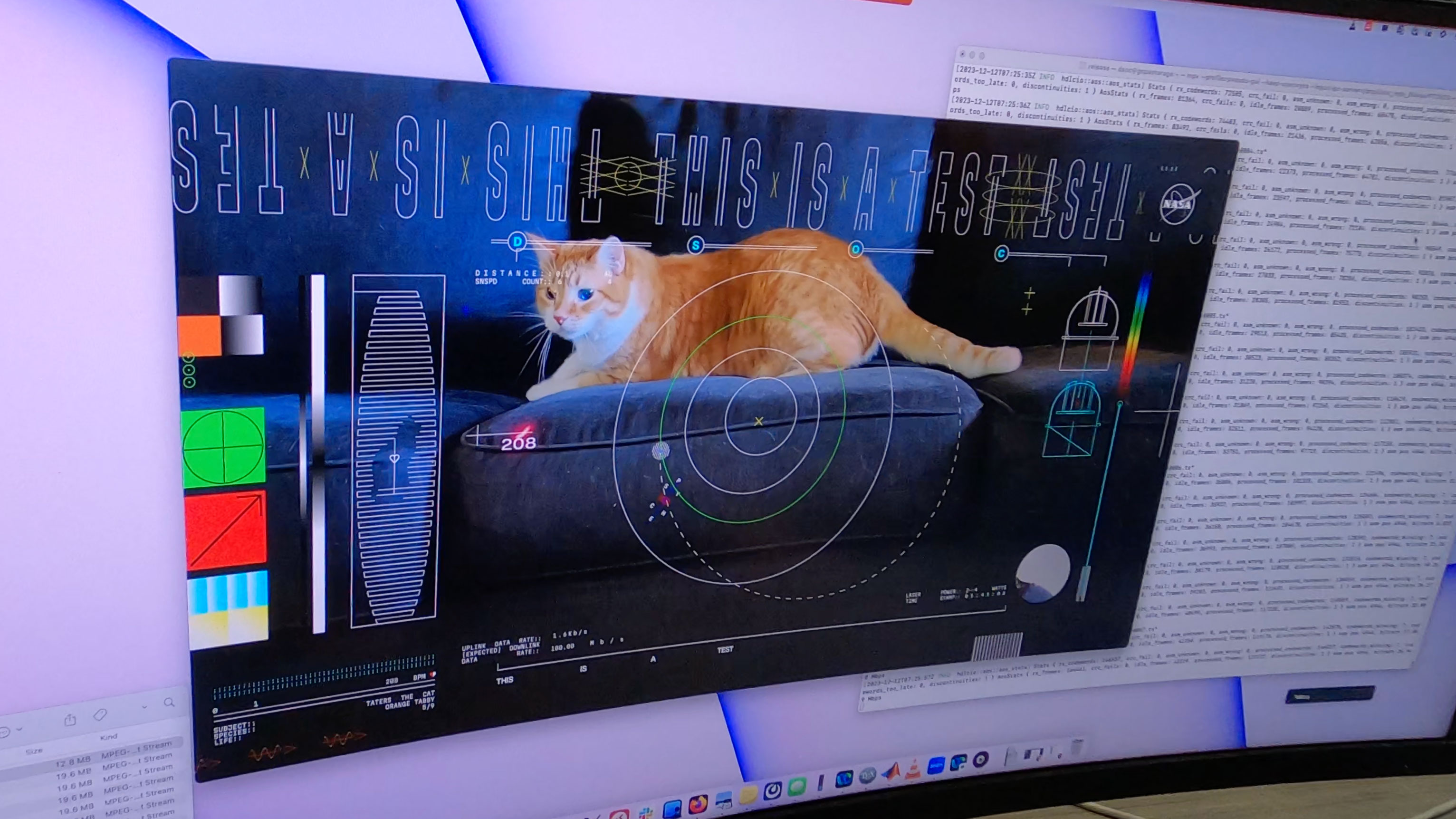 a cat chases a red dot on a couch in a video being played on a computer screen