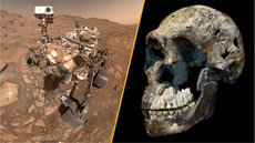A split image of NASA's Perseverance rover on Mars and the skull of early hominin Homo naledi. 