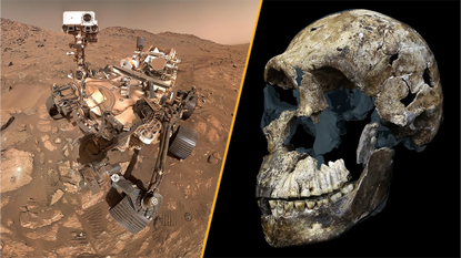 A split image of NASA's Perseverance rover on Mars and the skull of early hominin Homo naledi. 