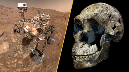 A split image of NASA's Perseverance rover on Mars and the skull of early hominin Homo naledi. 
