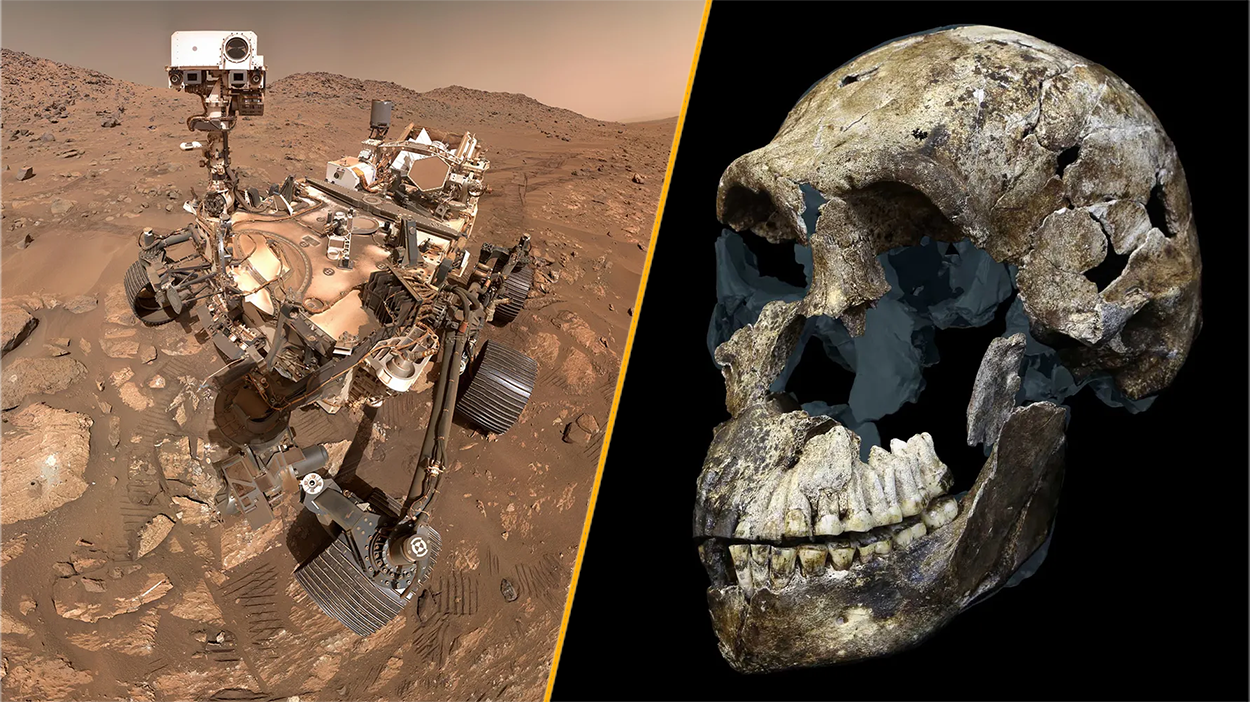 A split image of NASA's Perseverance rover on Mars and the skull of early hominin Homo naledi. 