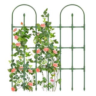 Garden Trellis for Climbing Plants