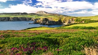 Grassland, rocky outcrops and sea cliffs on Anglesey, Wales