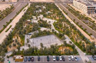 aerial view of al fey park in Abu Dhabi with its green expanses and boasted biodiversity