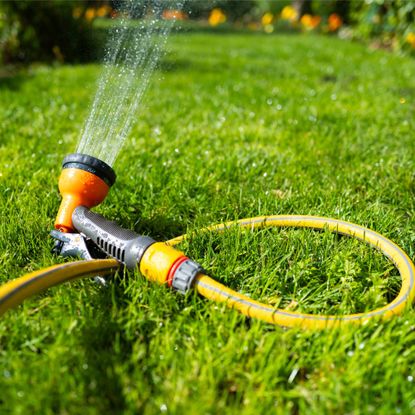 A yellow hose spraying water on a lush lawn