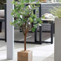 Argos Home Faux Eucalyptus Tree |&nbsp;£15 at Argos