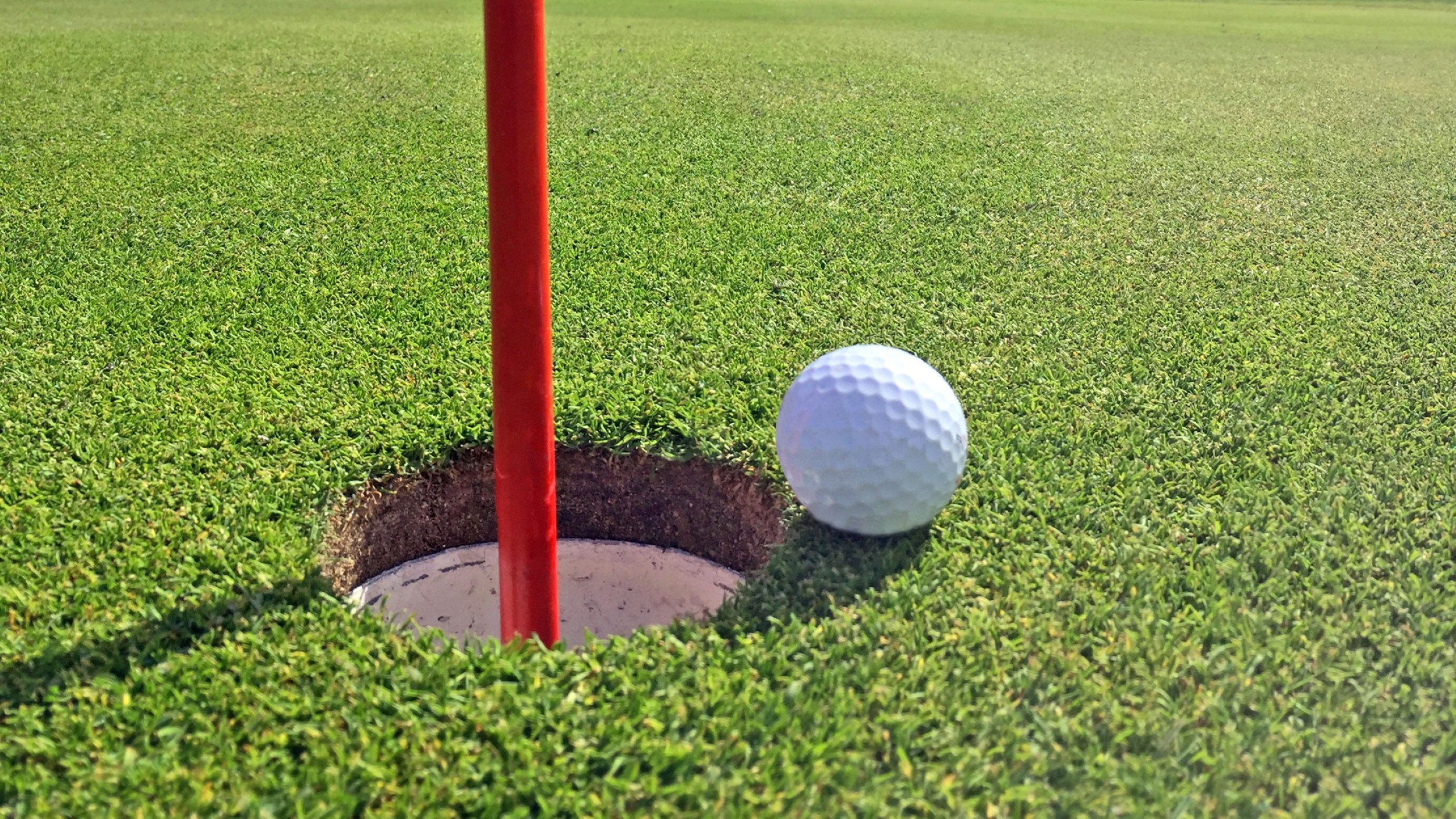 A golf ball at rest on the green right beside the hole