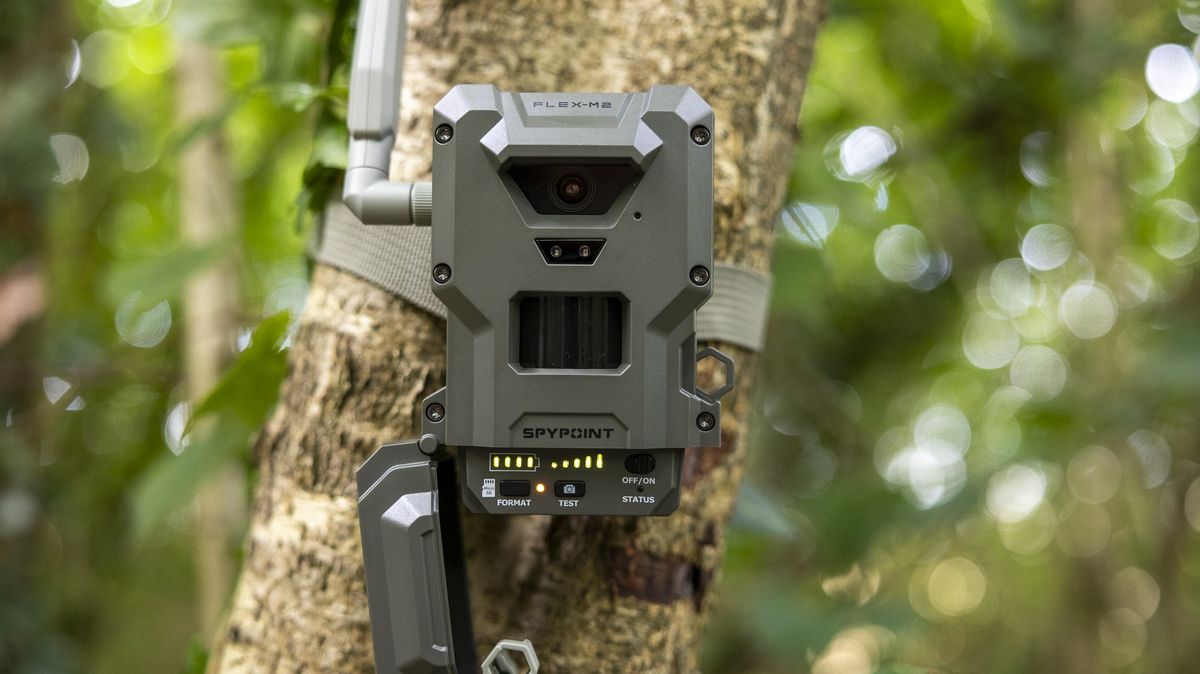 The Spypoint FLEX-M2 trail camera attached to a tree in a woodland