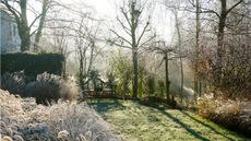 Frosty garden