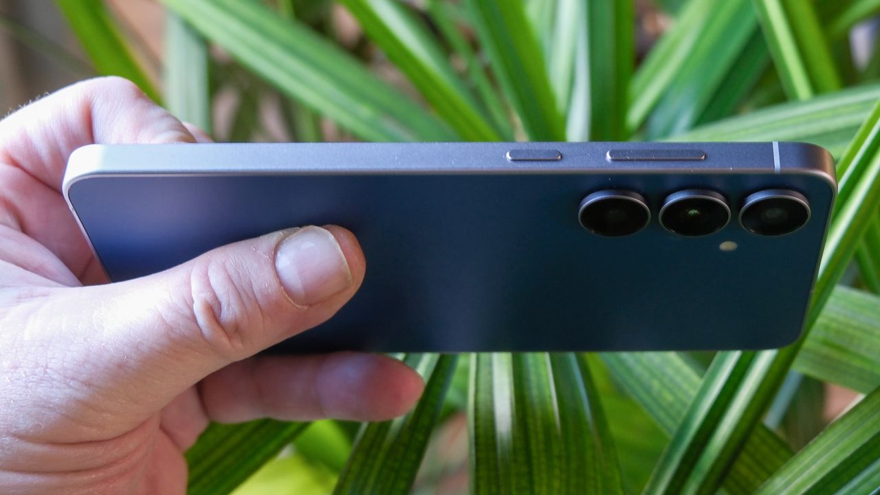 Samsung Galaxy S25 FE in hand with long green leaves behind