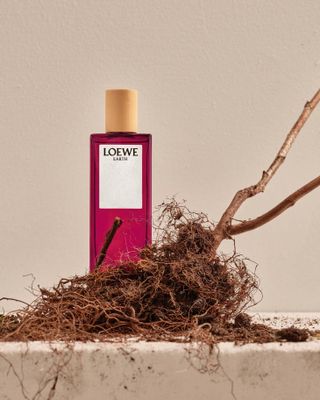 Bottle of Loewe perfume next to twig and roots