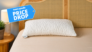 Coop Original Adjustable pillow on the bed