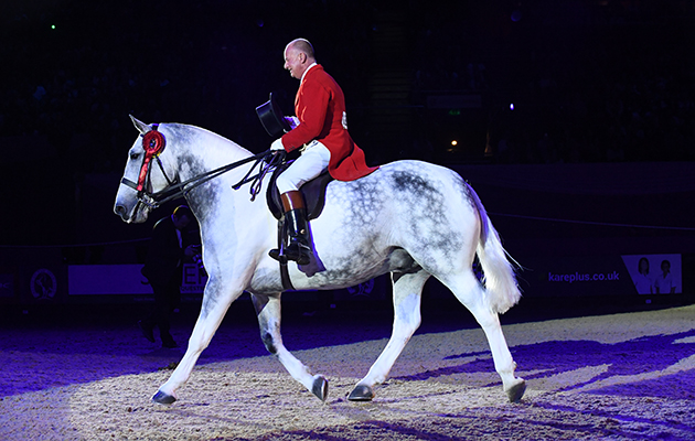 OUR CASHEL BLUE owned by Caroline Tyrrell ridden or exhibited by Allister Hood in Cob of The Year Championship during the Horse of the Year Show at the NEC near Birmingham, UK between 4th - 8th October 2017