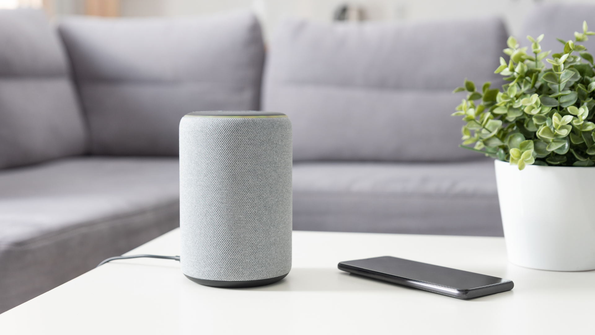 Best smart speakers 2024: top  Echo, Google Nest and Apple picks