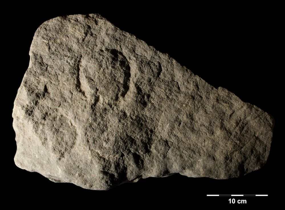 Gallery Europe's Oldest Rock Art Aurignacian Carvings Live Science