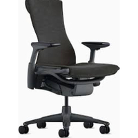 Herman Miller Embody