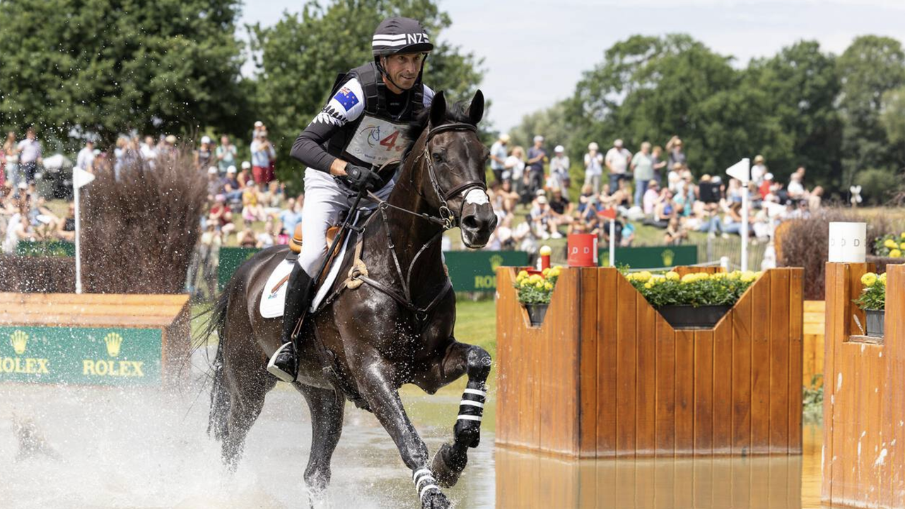 A dark event horse canters through the water past the driving obstacles in Aachen ridden by a rider wearing the black and white colours of New Zealand.