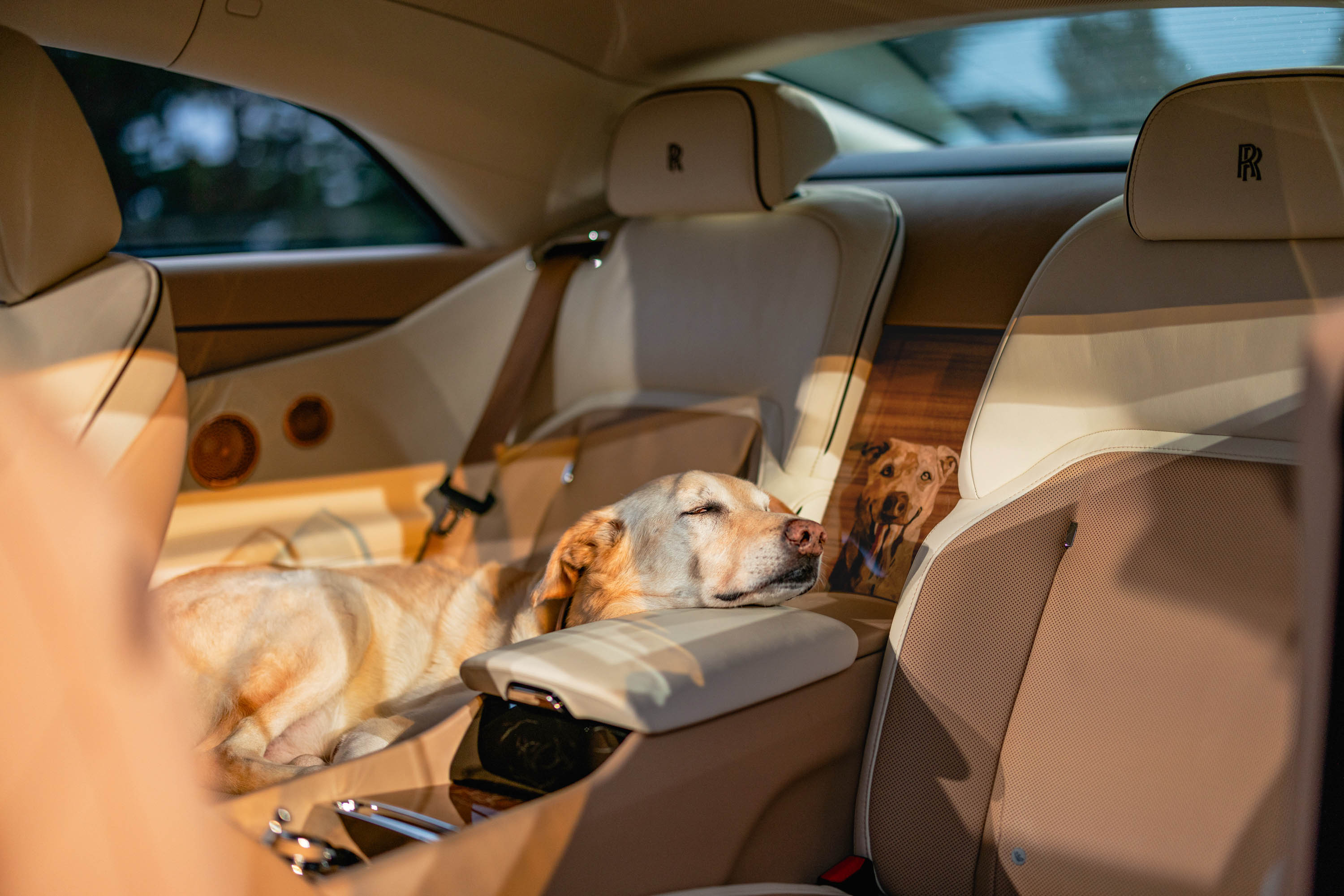 Images of the Rolls-Royce Spectre &#039;Bailey&#039;