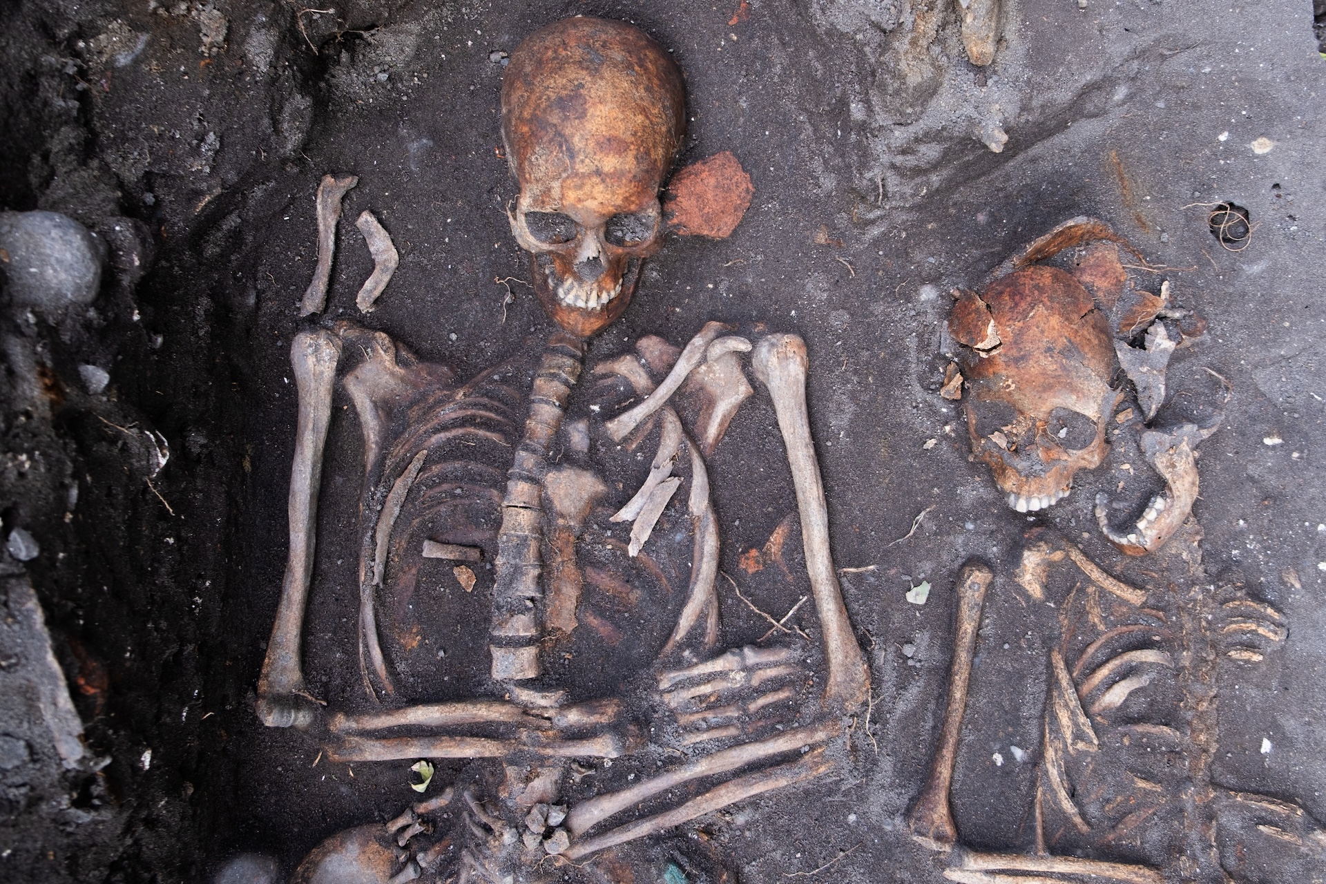 two skeletons lie side-by-side in a grave