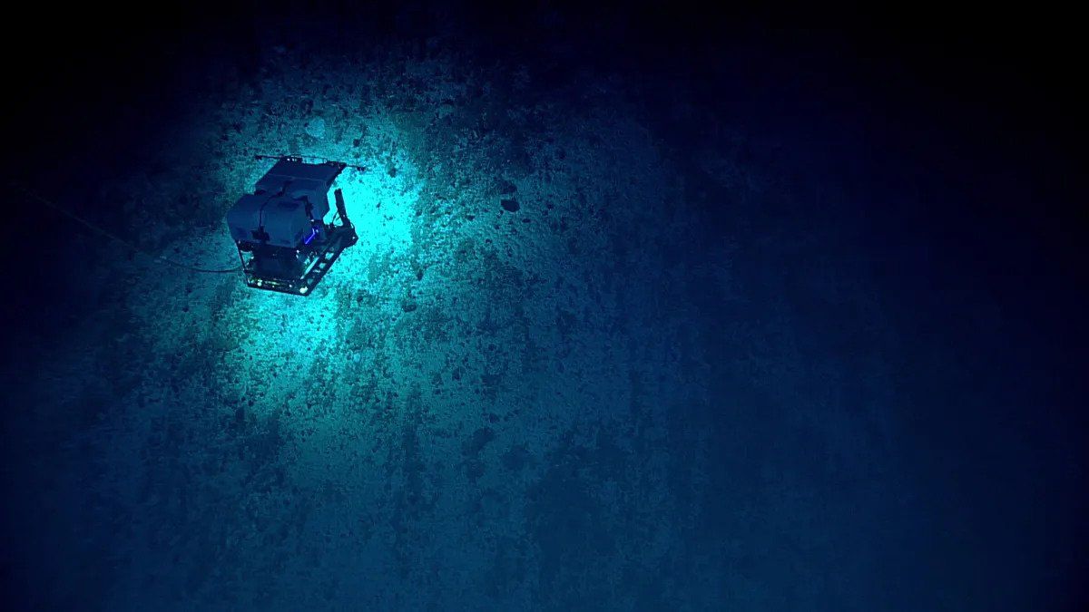 A submersible approaches the wall of a seamount inside the Mariana Trench.