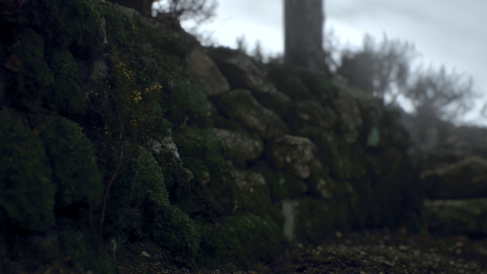 Ritual Tides promo screenshots from Steam