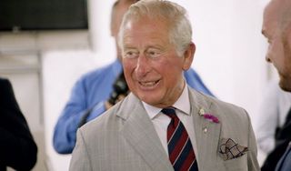 Charles: 50 Years a Prince